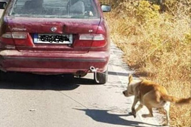 Δείτε σήμερα τον Σκύλο που έσερνε με το αυτοκίνητό του ηλικιωμένος στην Κρήτη