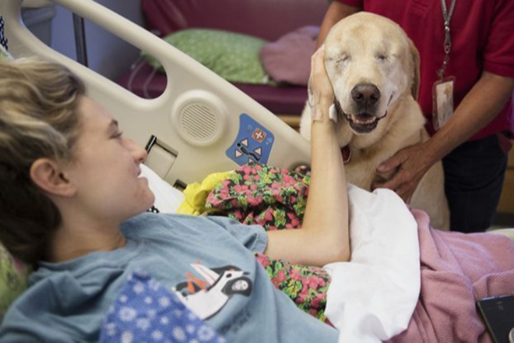 Μια τυφλή σκυλίτσα κάνει παρέα σε άρρωστα παιδάκια σε νοσοκομείο